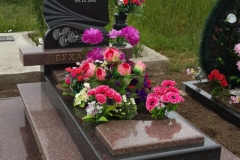 ПР100
