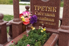 ПР110
