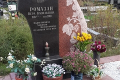 ПР208