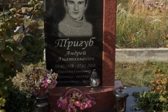 ПР219