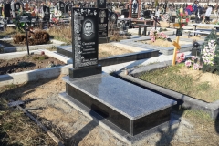 ПР239
